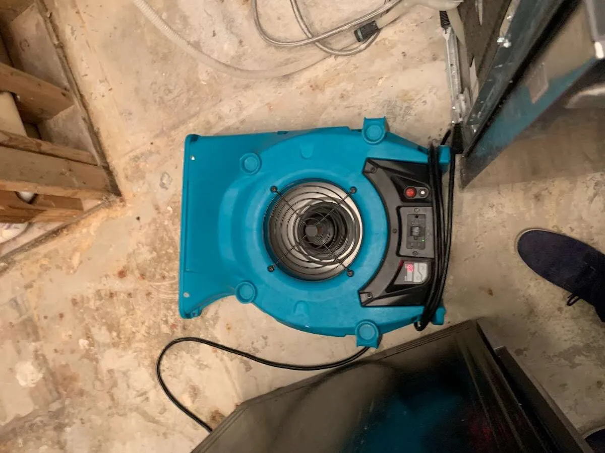 Air mover drying equipment for Mold Remediation & Removal in Willard